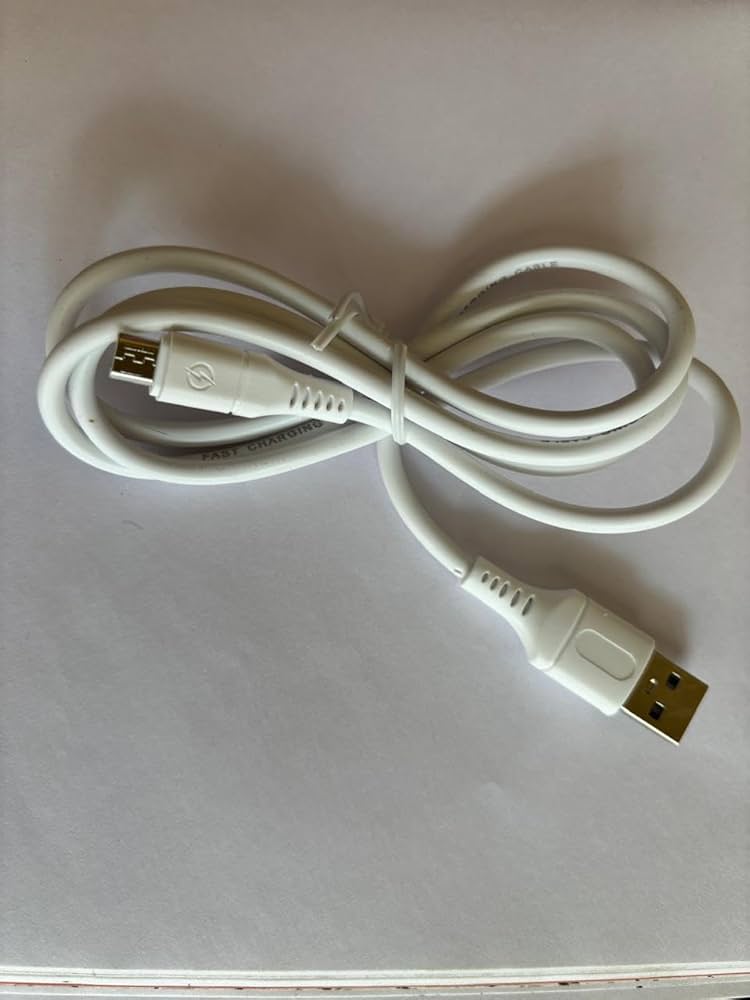 Dual USB Adaptor Type B Charger with 4.0 AMP Fast Charging Cable | radiomarket.in