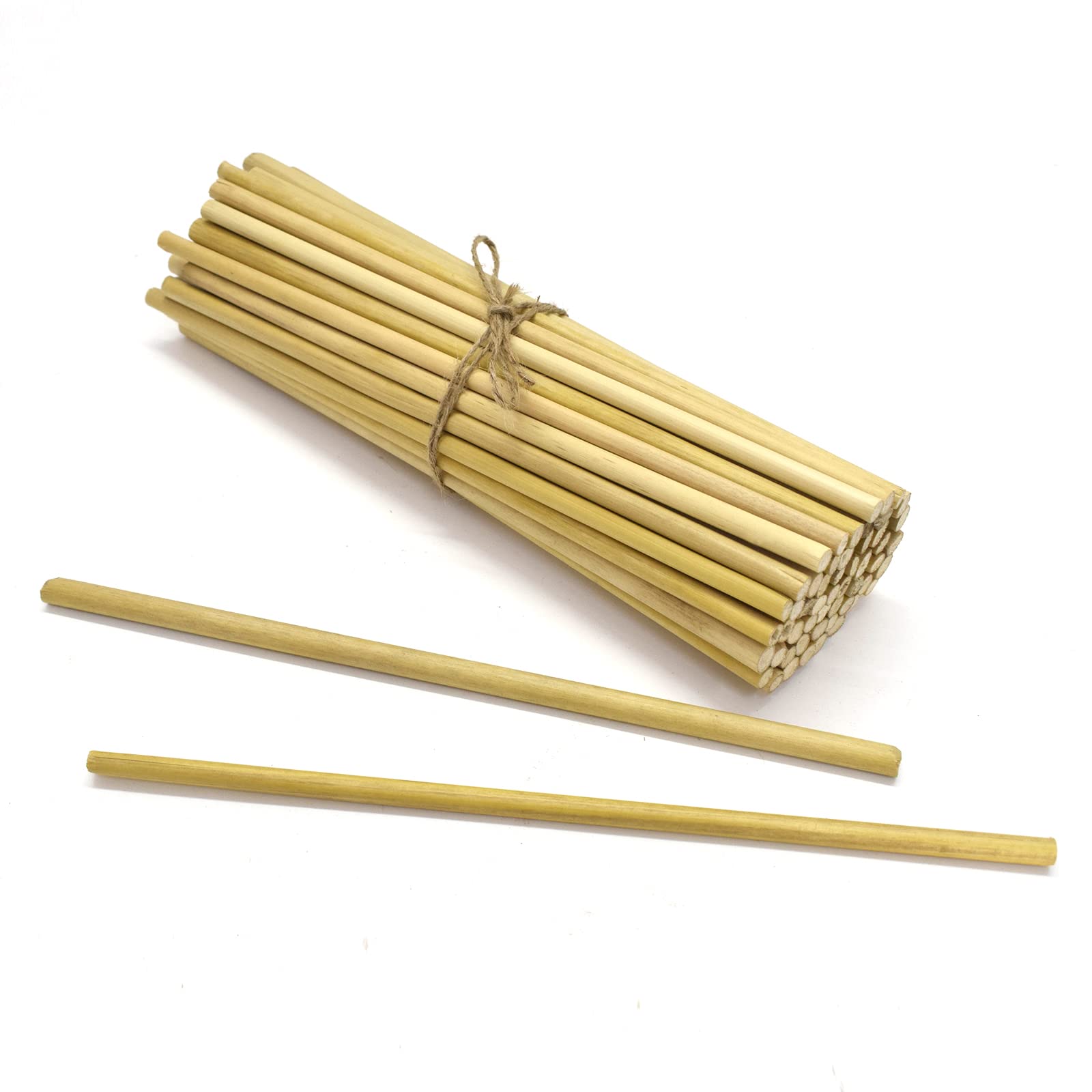 Asian Hobby Crafts Bamboo Sticks – 9 Inch Wooden Skewers & Round Craft Sticks (Pack of 100) | Buy at radiomarket.in